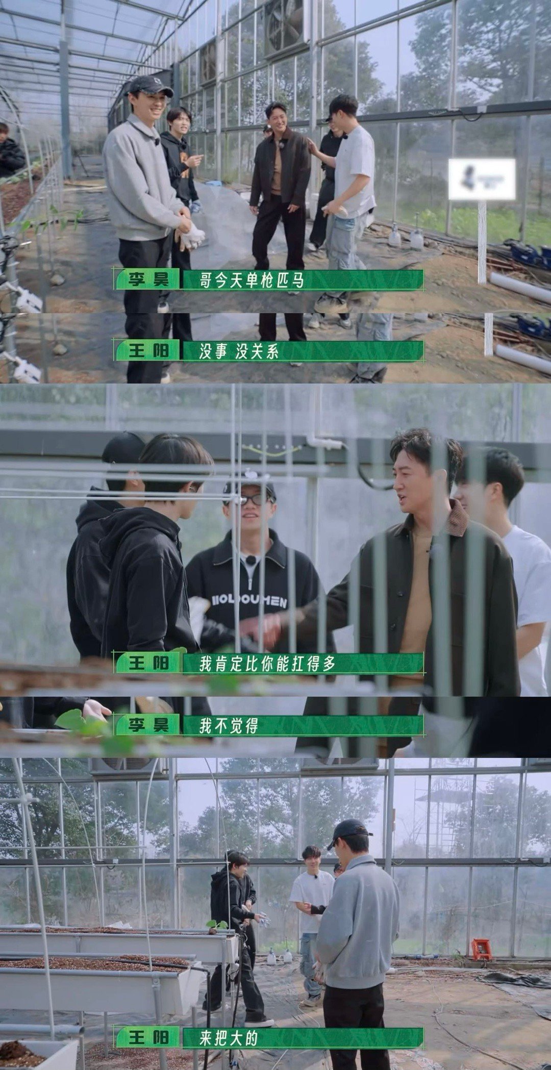 王阳捉鸡搭把手变高手 咱就是说王阳到底还有多少惊喜是我们不知道的呀，没有想到连捉