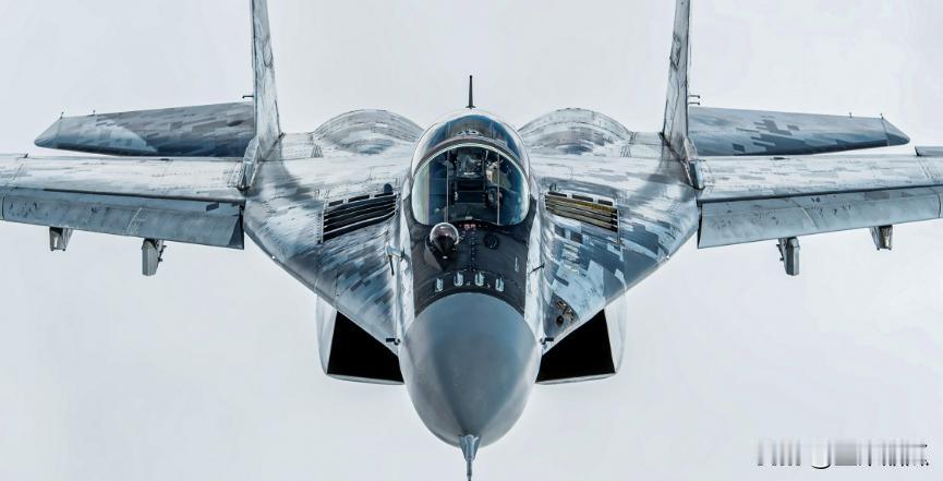 波兰开了个头。波兰外长拉多斯瓦夫•西科尔斯基称，波兰建议乌克兰向波兰国防工业赊账