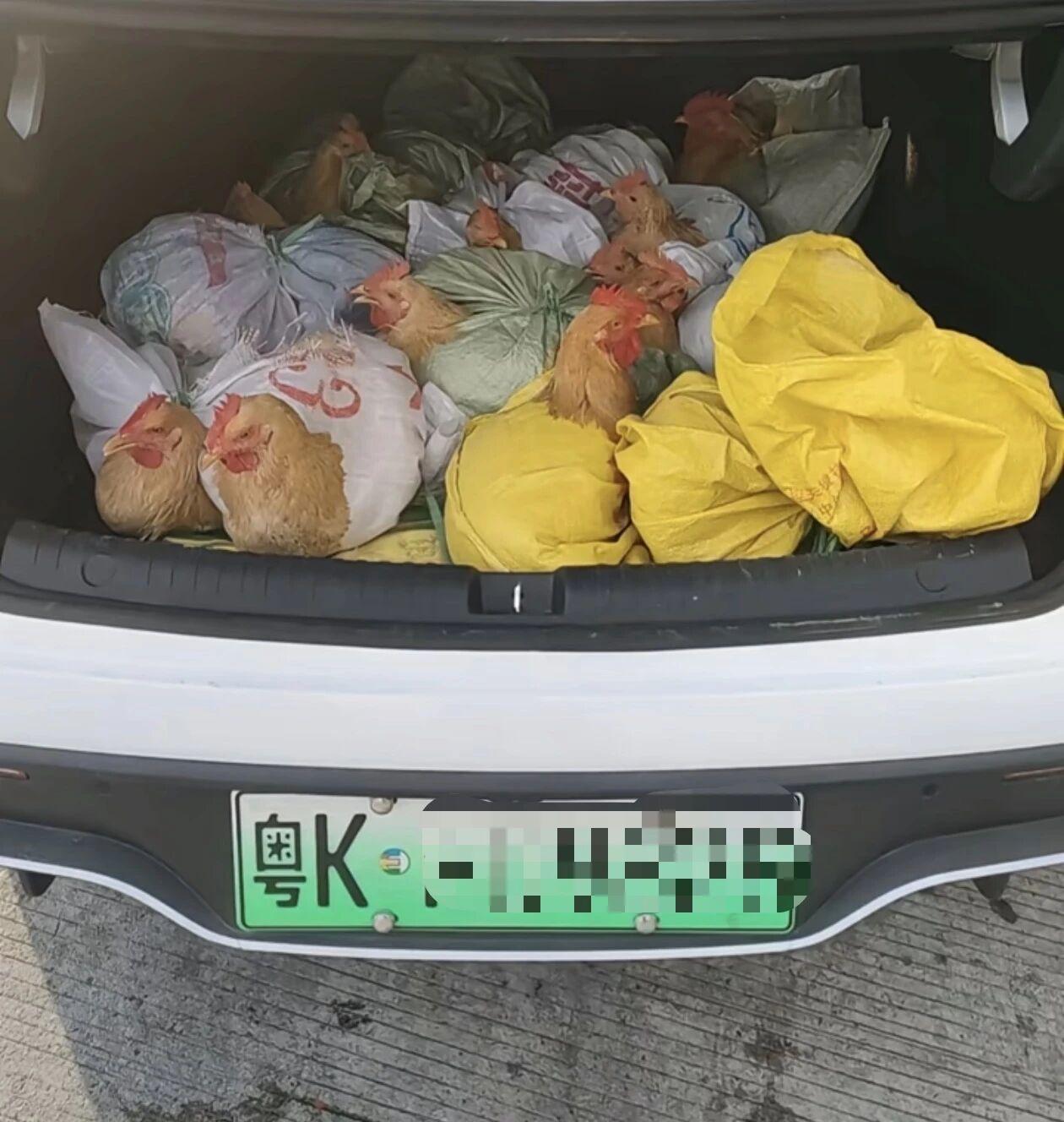 去买车的时候嫌后备厢太小不够装，销售说要那么大干嘛，你就把这十几张啪啪啪发给他…