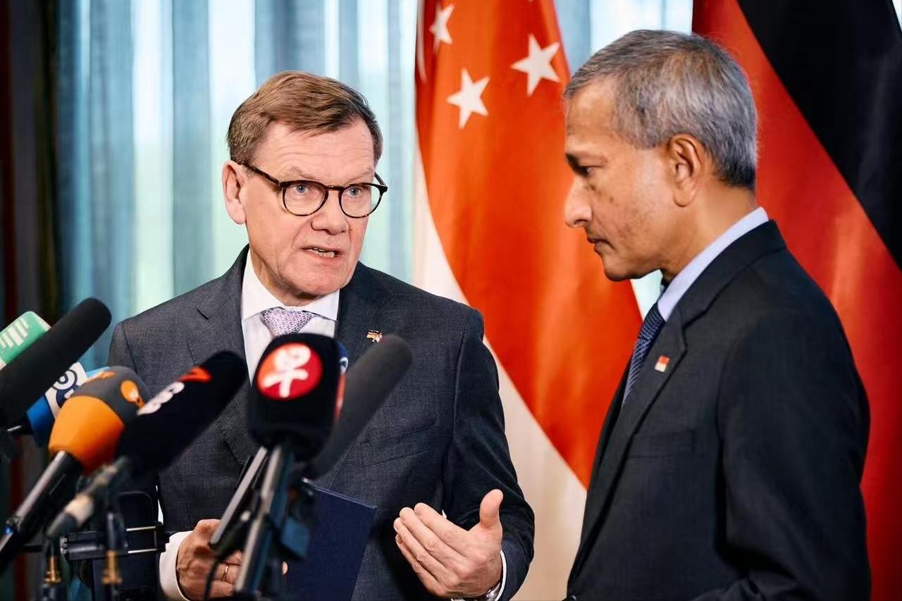 2月2日，新加坡，国际战略研究所讲座现场。德国外长约翰·瓦德普尔站在台上，用一种