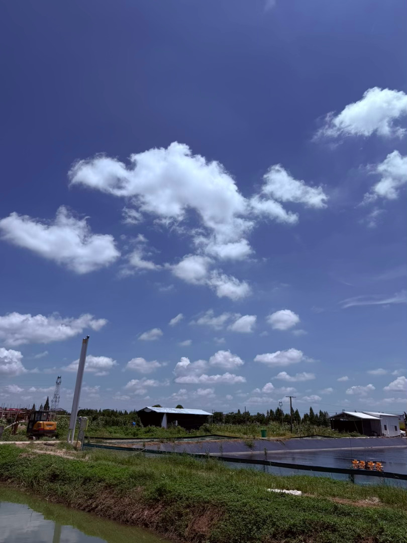 生活手记记录真实生活摄影摄影摄影 乡野晴空久居闹市，总被楼宇切割得支离破碎的天空