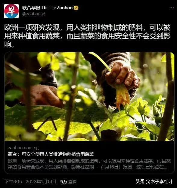 都是我们老祖宗们玩剩下的。蛮夷还没进化到那个程度。这事儿我小学一年级放学经过菜地