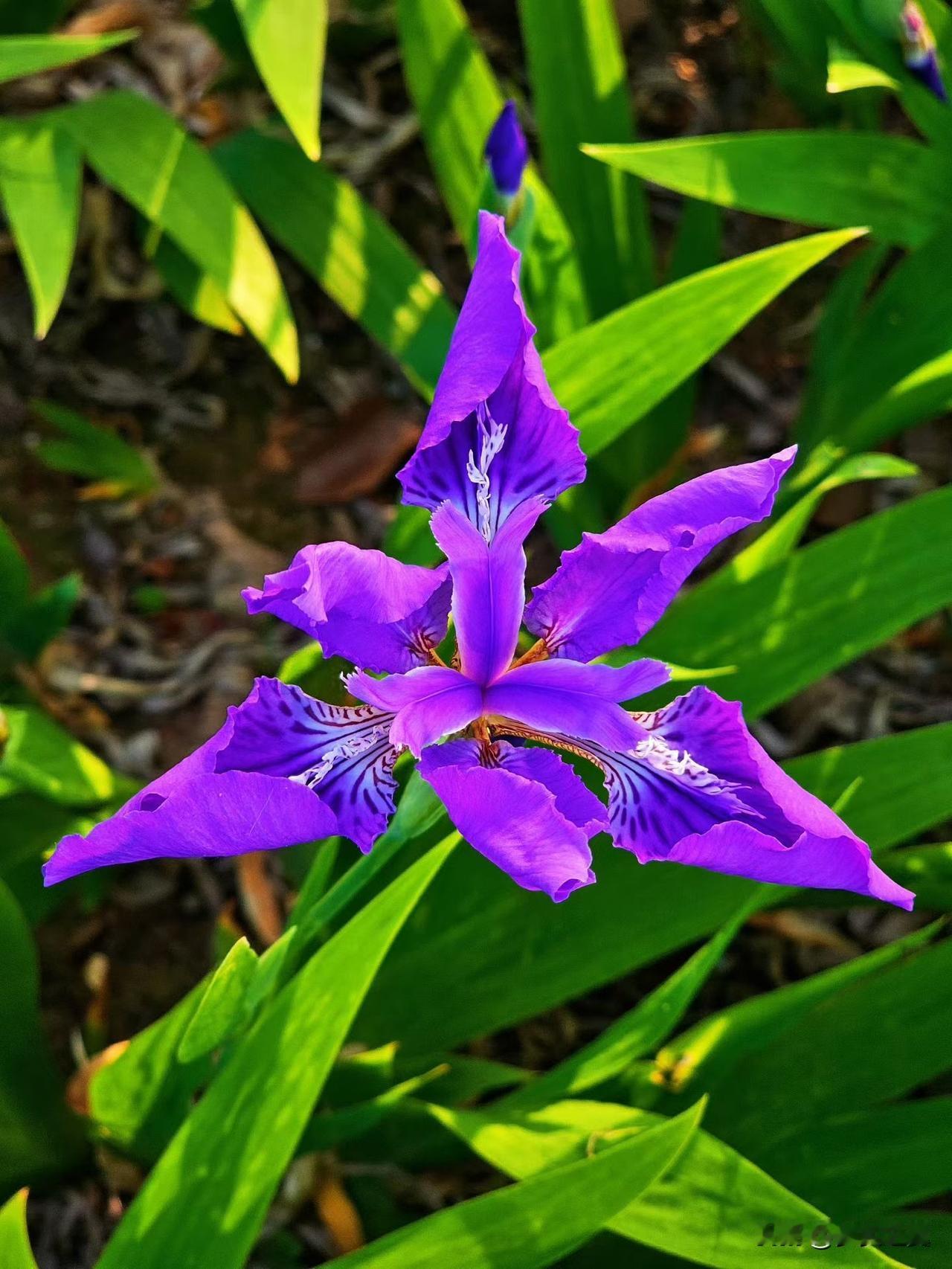 【小对联】
上：细品；
下：……？