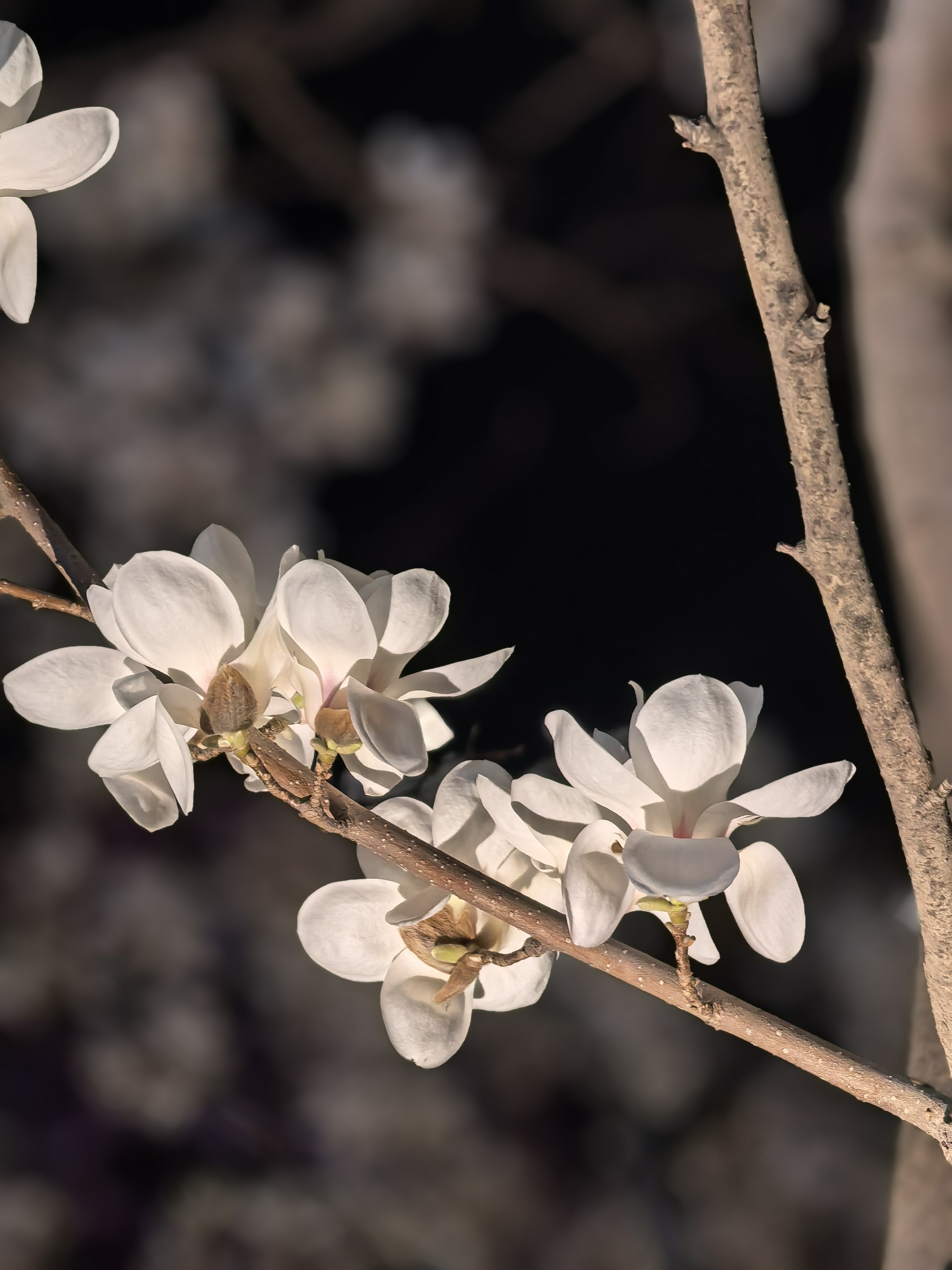 早～ 周末愉快，打算去哪耍？ 