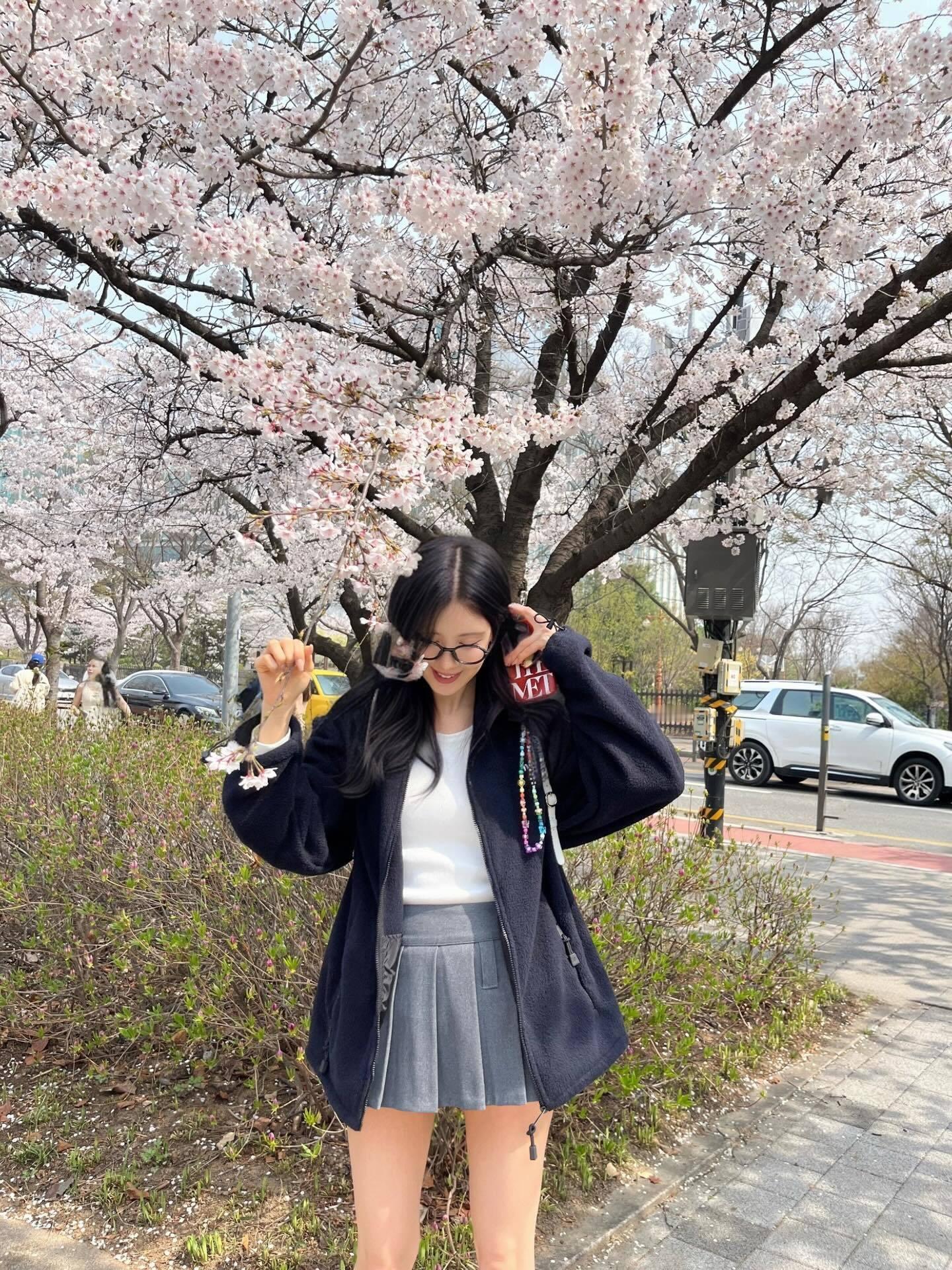 徐贤 🌸 春天赏樱花 