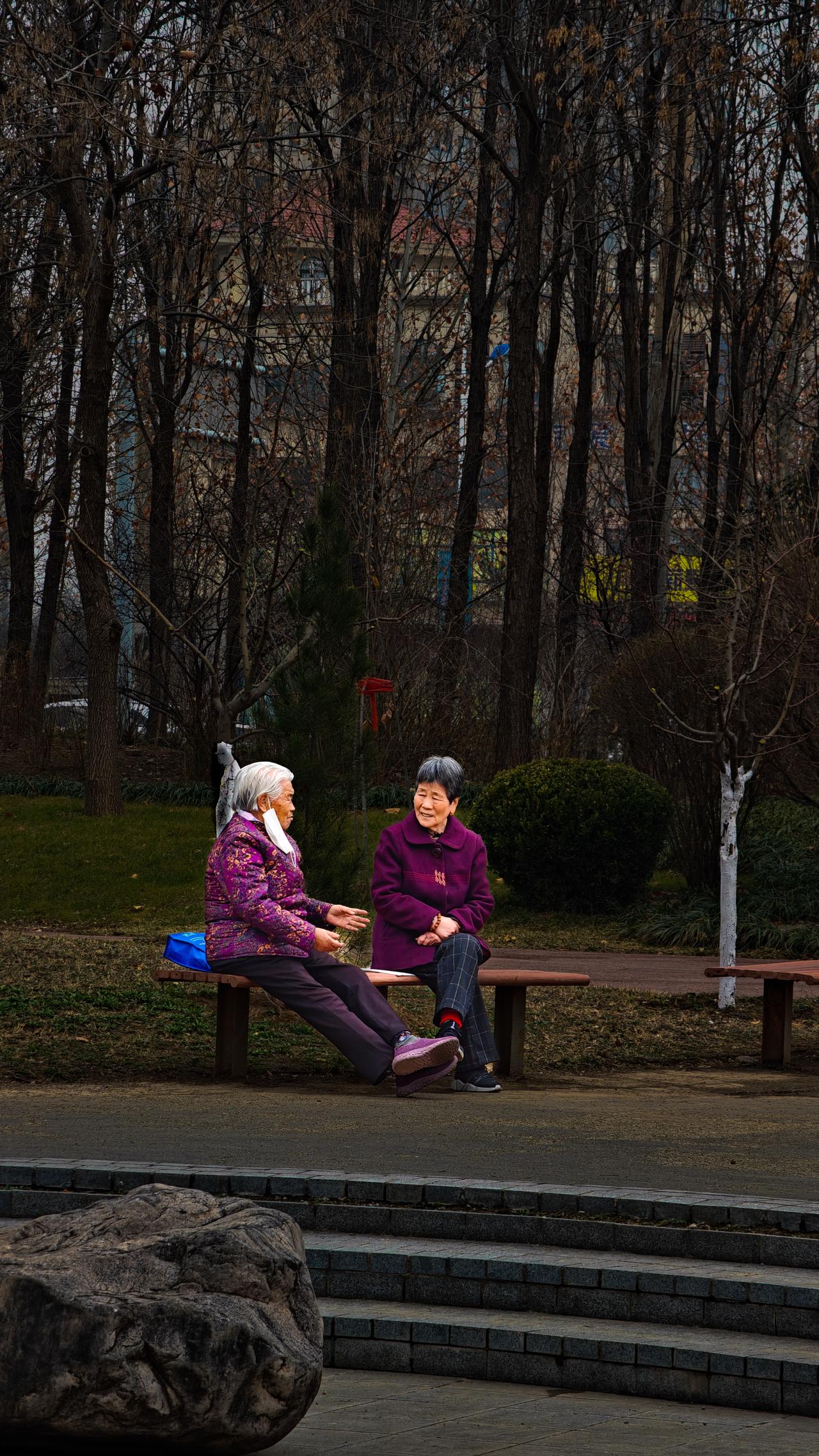 公园闲游随拍
天气宜人，环境优美，人的心情也随之舒畅起来。倘若心情不佳，即便置身