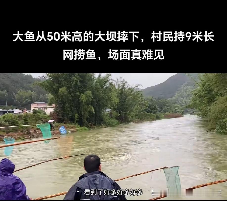 鱼都被摔晕了？[what]