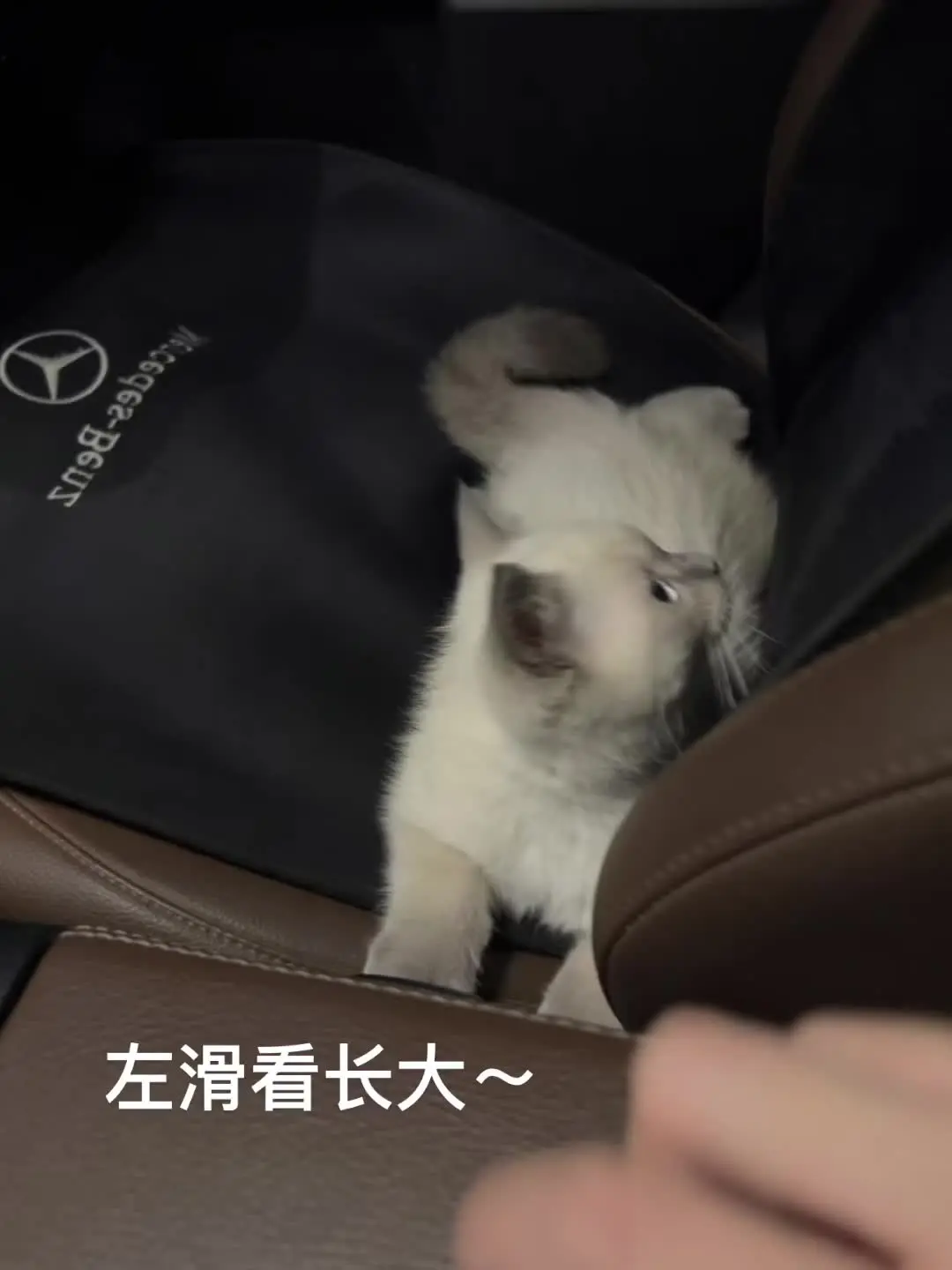 孩子越大越潦草