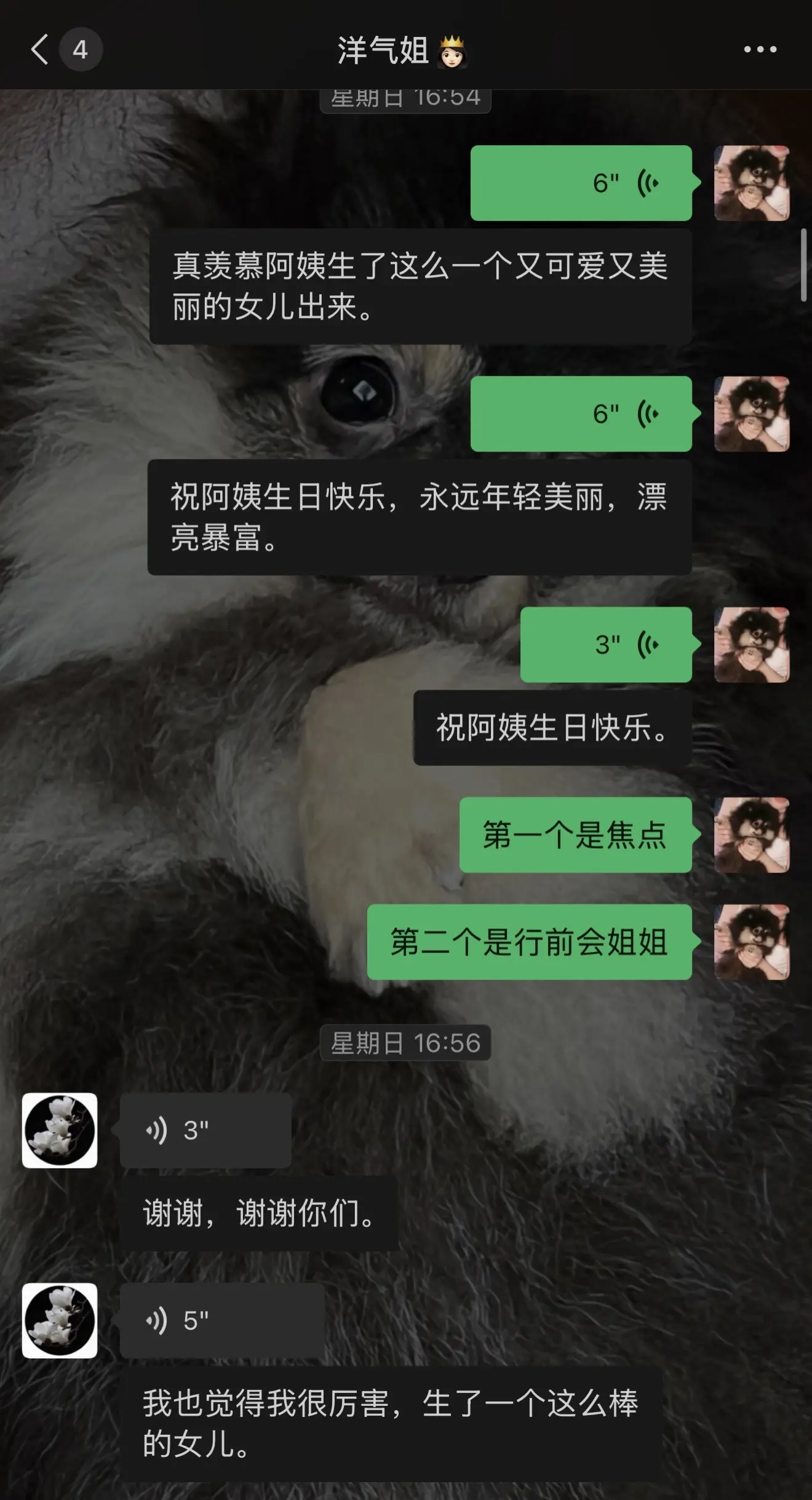 我爱人的方式是你爱我的方式