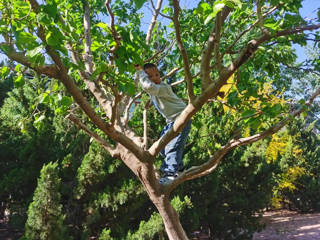 沙漠绿化能防止土地沙化，守护我们的家园。
沙漠变成了绿洲只有中国能够实现，任何国