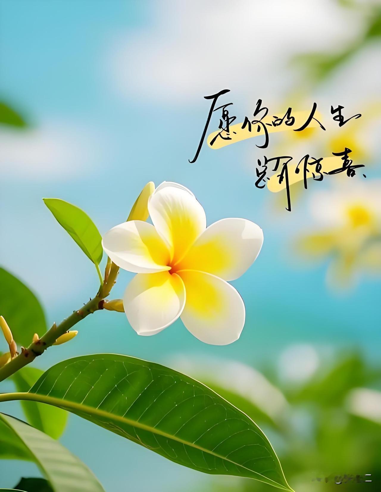 人心里的欲望常常难以放平，明明自己拥有不少旁人羡慕的生活，却总忍不住羡慕别人的所
