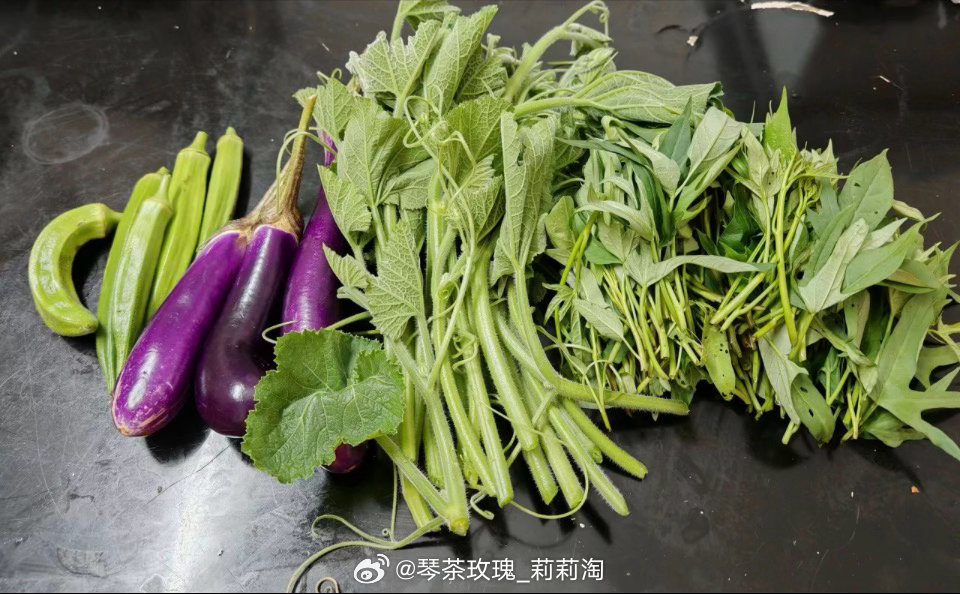 隔三差五收获一篮子有机蔬菜吃的健康，种的开心，也锻炼身体值得，会一直种下去隔三差