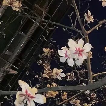 ❤️𝙃𝙖𝙥𝙥𝙮 𝙈𝙤𝙢𝙚𝙣𝙩·͜·努力成为自己的靠山，除了