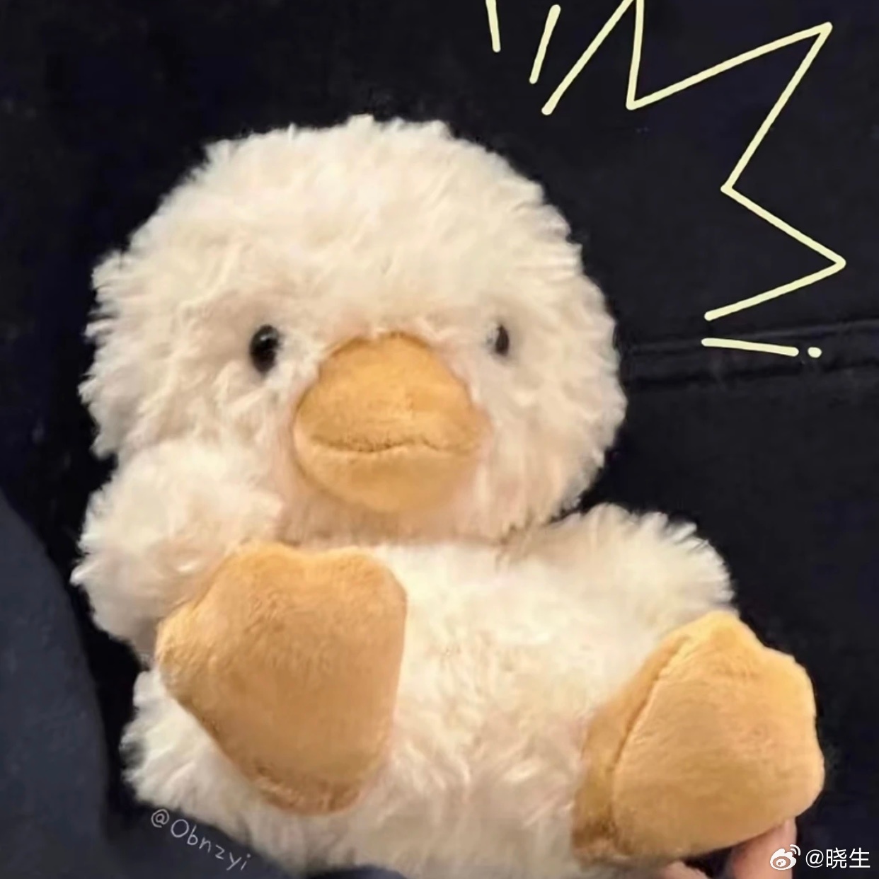 这两天接连感慨我们能生活在和平的空间已经是非常不容易了，每天烦恼一些形而上的问题