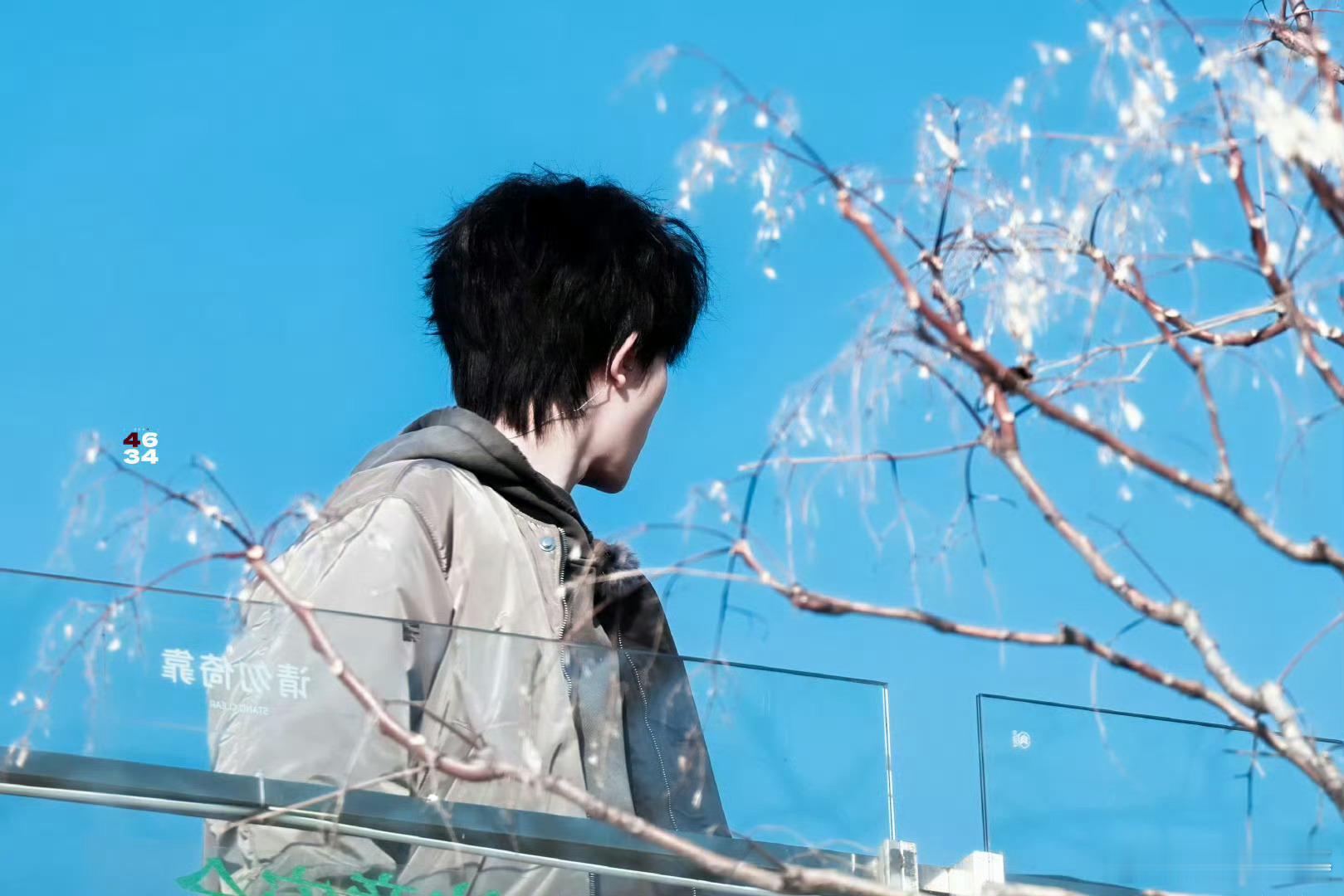 苏新皓 鬓角 大皓皓新鬓角真的太帅了!😍 这个发型简直封神!以后都保持这个造型