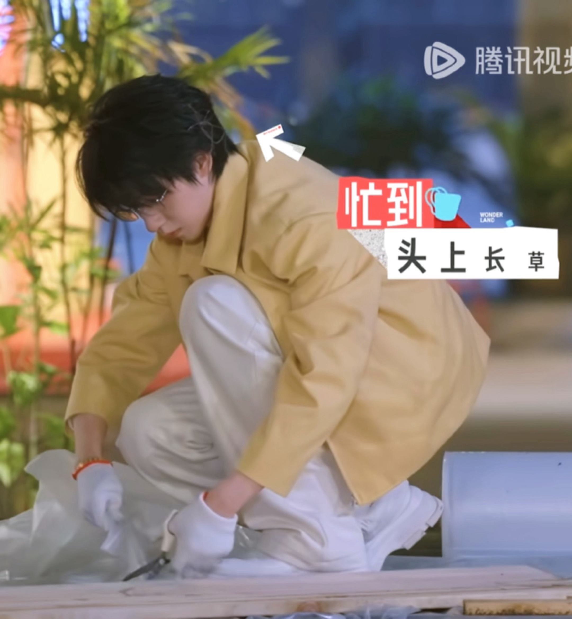 咋那么萌…真实的搬砖养你… 