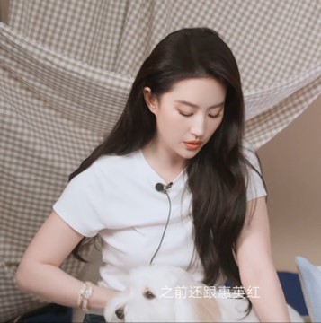 传下去，刘亦菲最喜欢看的动画片是《甜甜私房猫》 