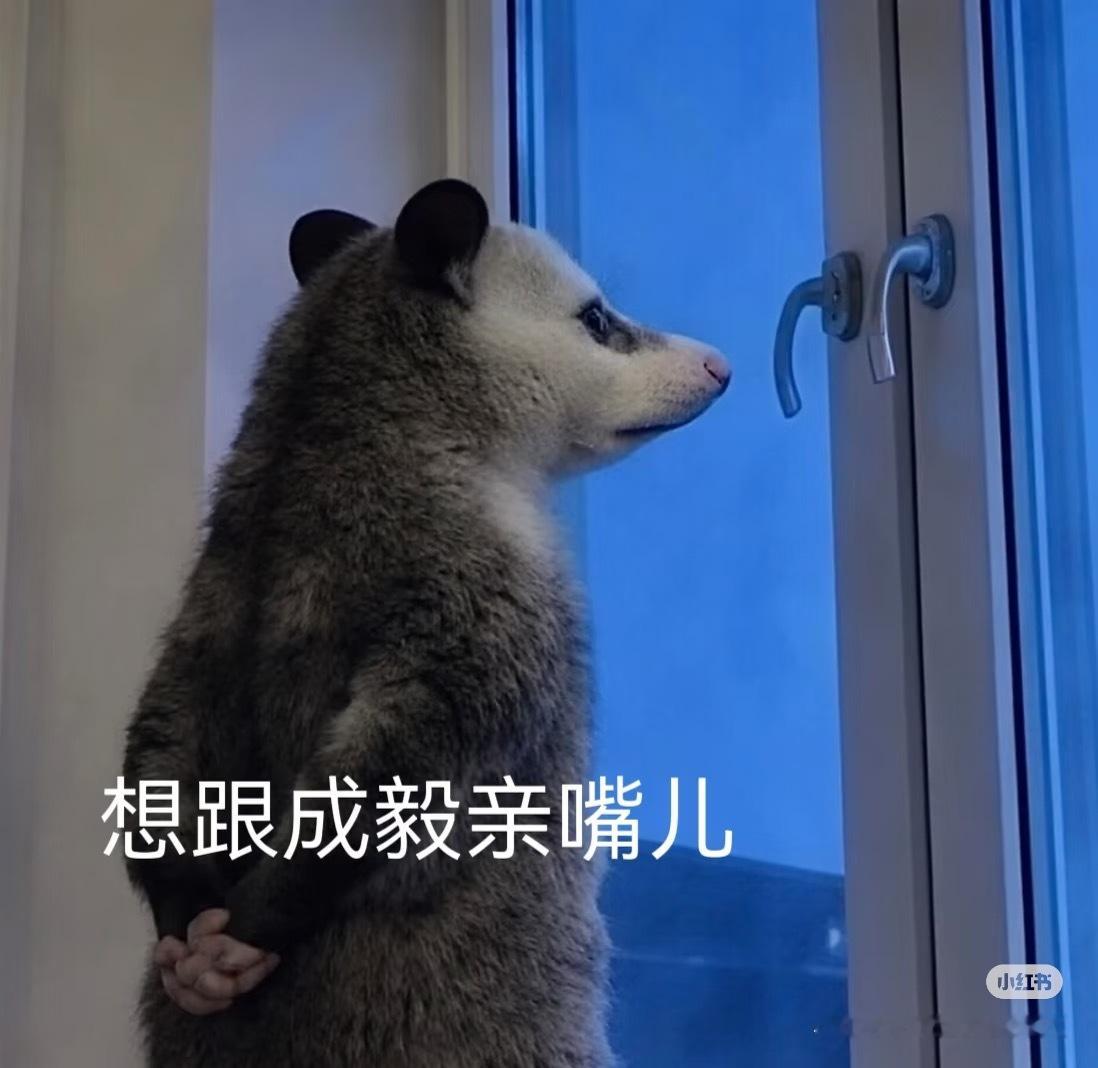 林sir 把自己练得好壮，大🐻肌，大腿肌 