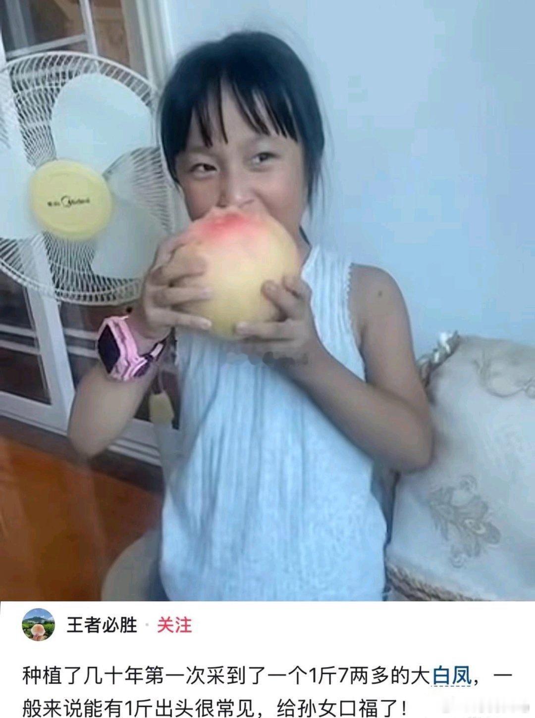 果然真正的好东西都是不在市面上流通的 