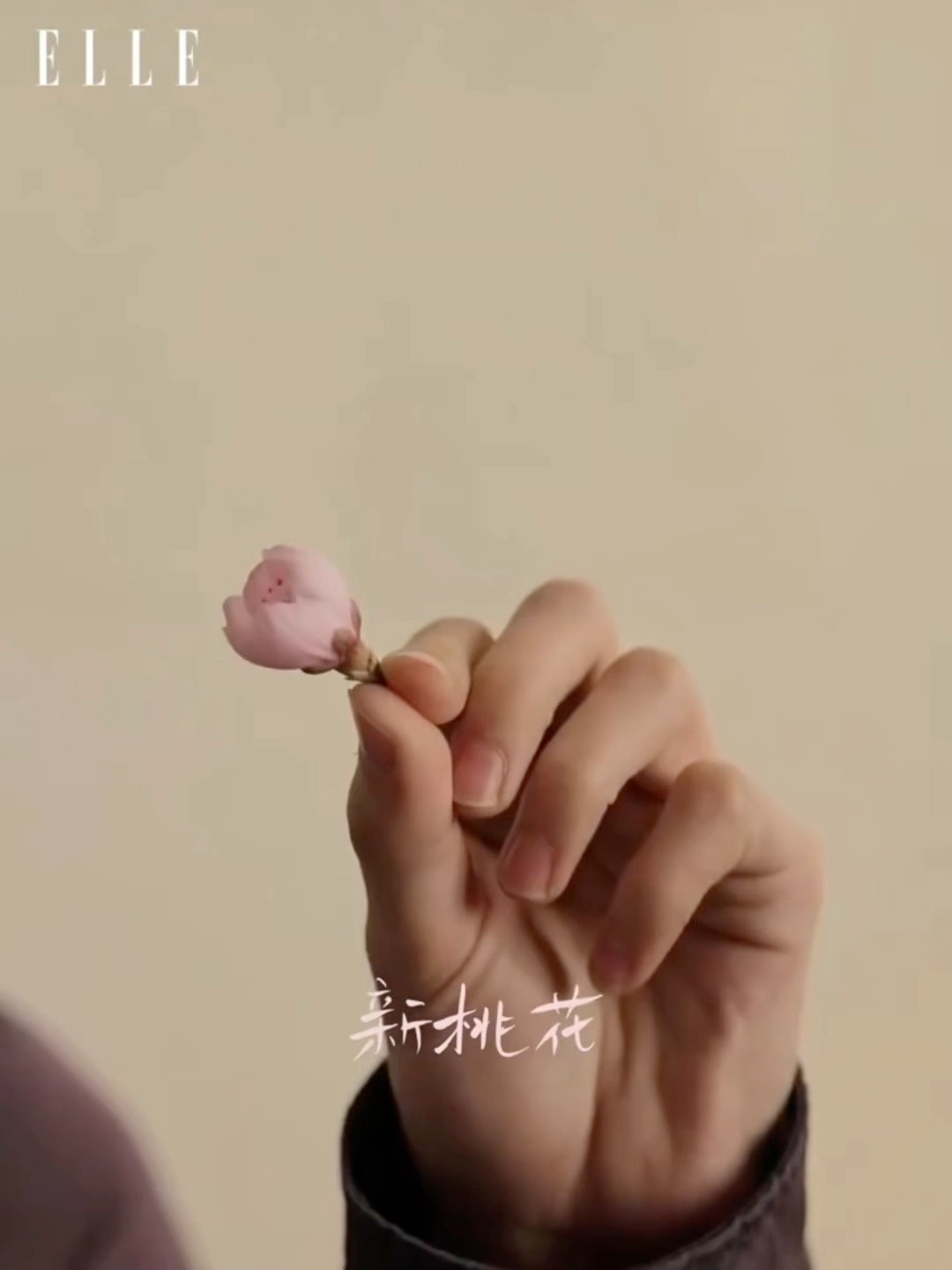 张凌赫ELLE情人节物料张凌赫ELLE情人节视频，高领耶好帅好帅，期待张凌赫EL