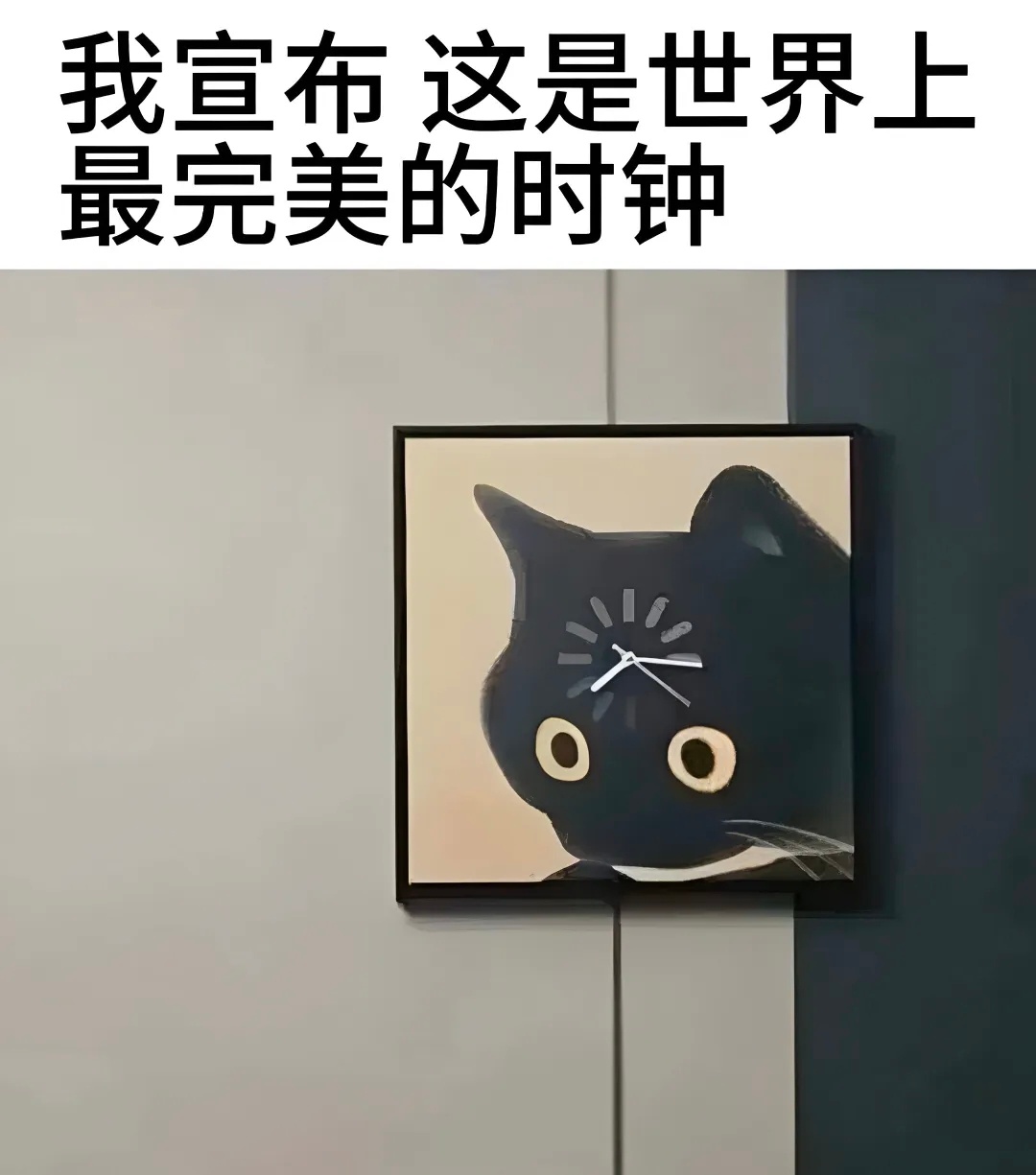 就喜欢这些奇奇怪怪的东西 