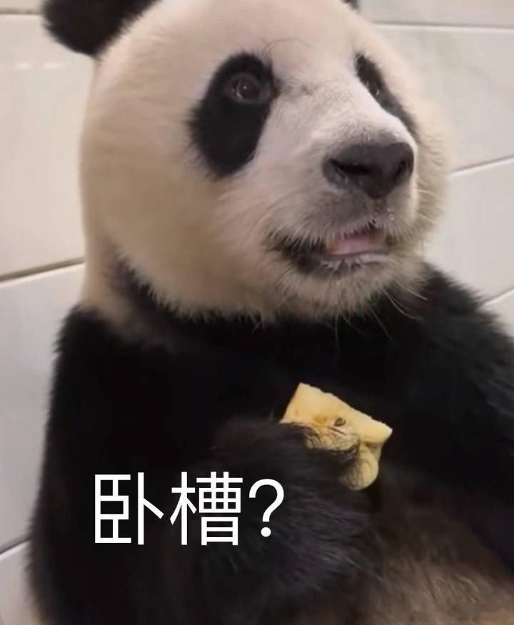 男友逼坠楼生还女孩返还恋爱开销一大早就看见这些破事，真是不谈恋爱屁事没有 