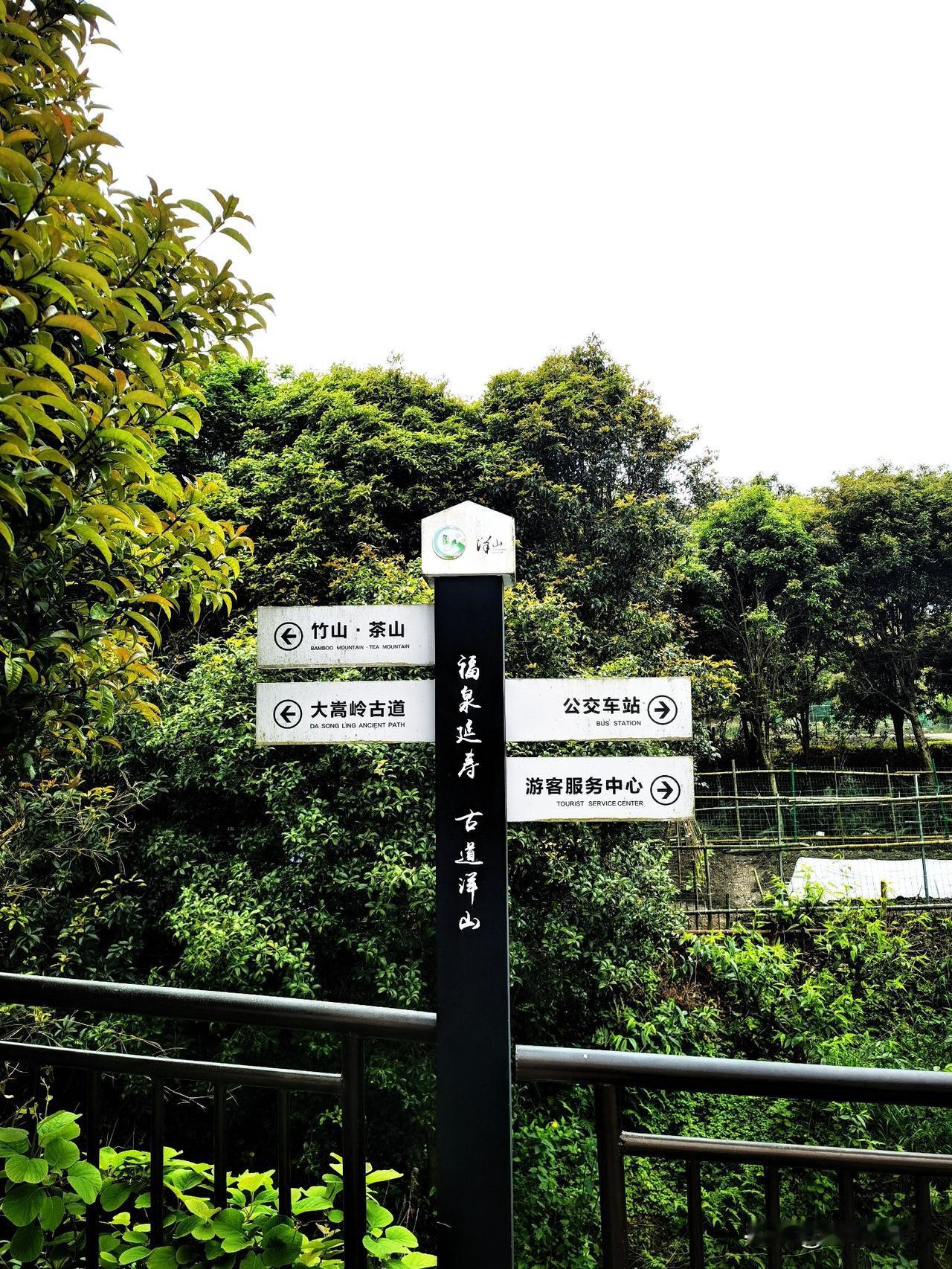 行走大嵩岭古道，踏着千年卵石，一步一步走进古人的行路难。

起点选在了宁波东钱湖