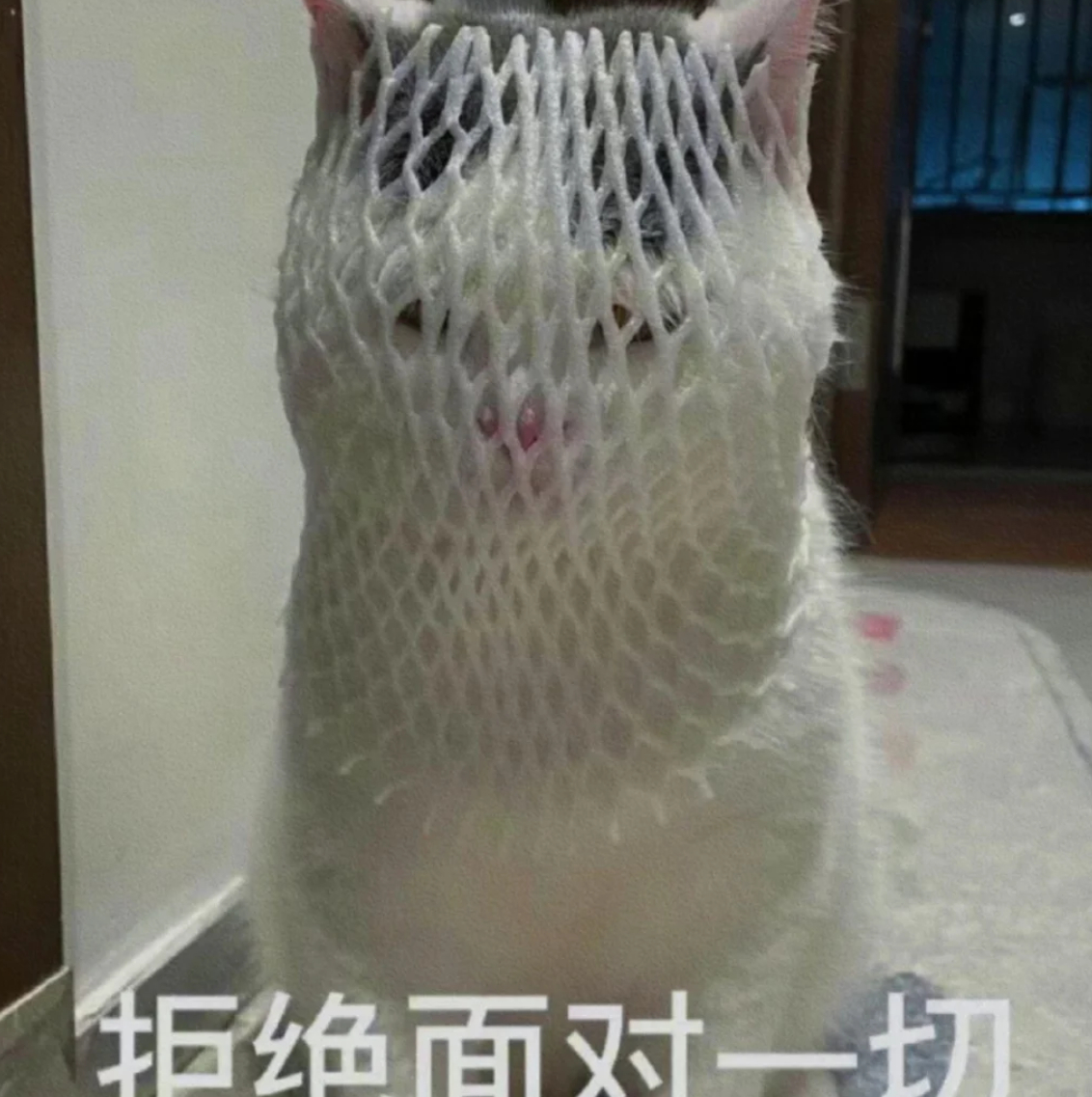 郑州今天最高气温超40度 北京预报的是今天30度，昨天晚上还下雨了，突然就热了起