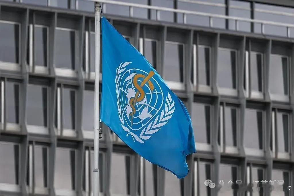 国际国内时事新闻 世卫组织：以色列已致加沙超7万人死亡、1万儿童致残；以色列设特
