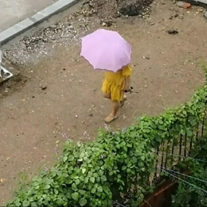 下午，我出门。突然，天空下起了倾盆大雨。我的鞋子袜子裤腿全部被雨水浇淋得湿漉漉的