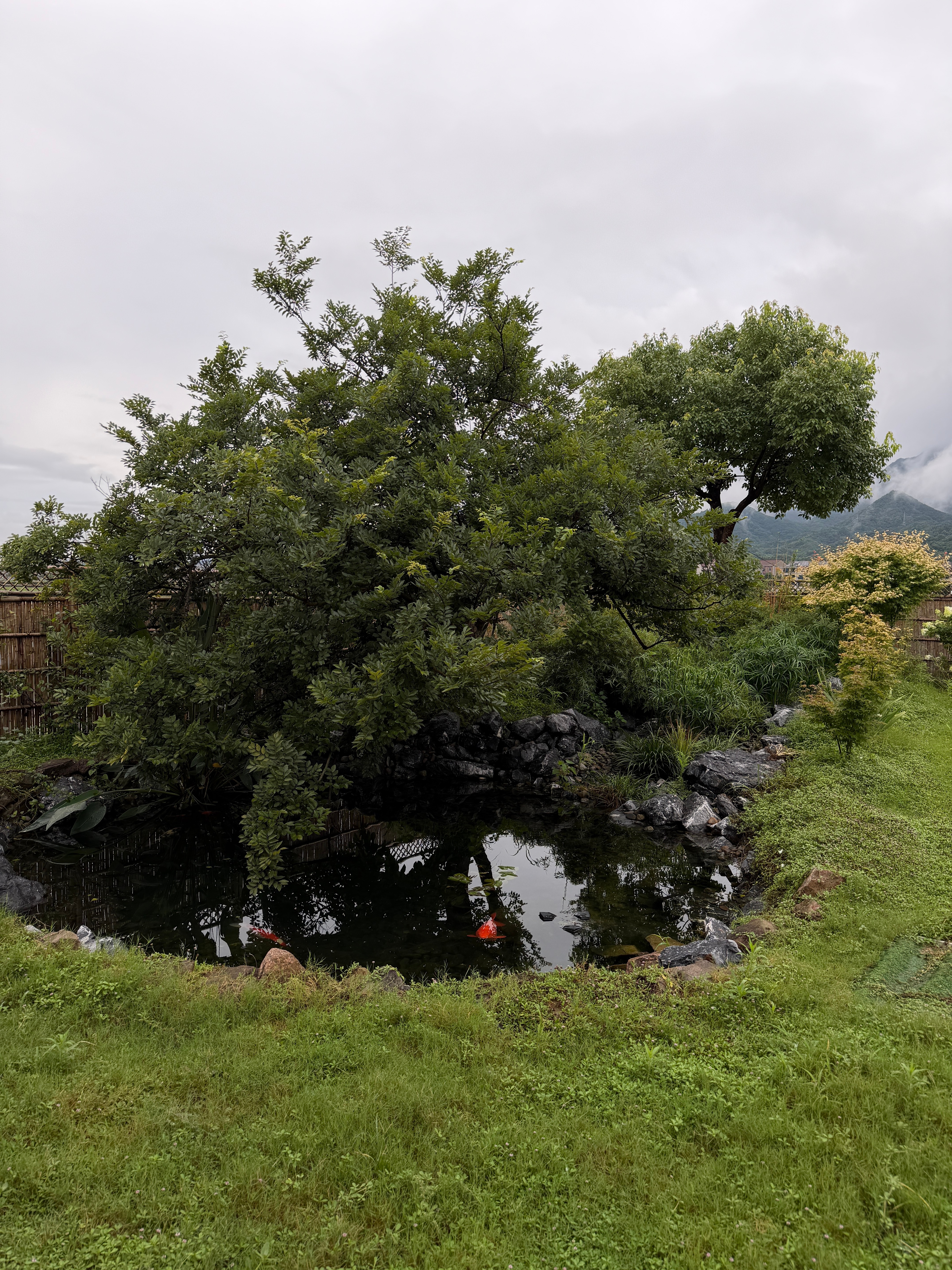 乱蝉衰草小池塘🌳⛰️ 