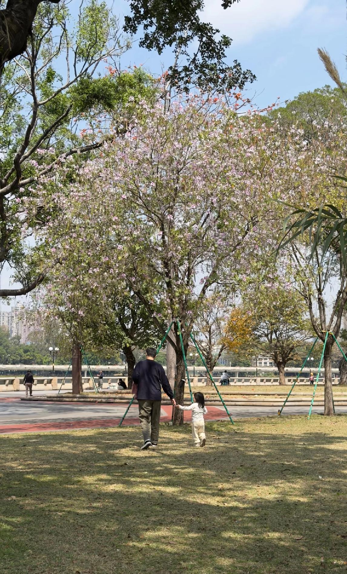 老马40岁被裁员，
他说目前不打算找工作，
在家接送孩子，给老婆做饭。
​他老婆