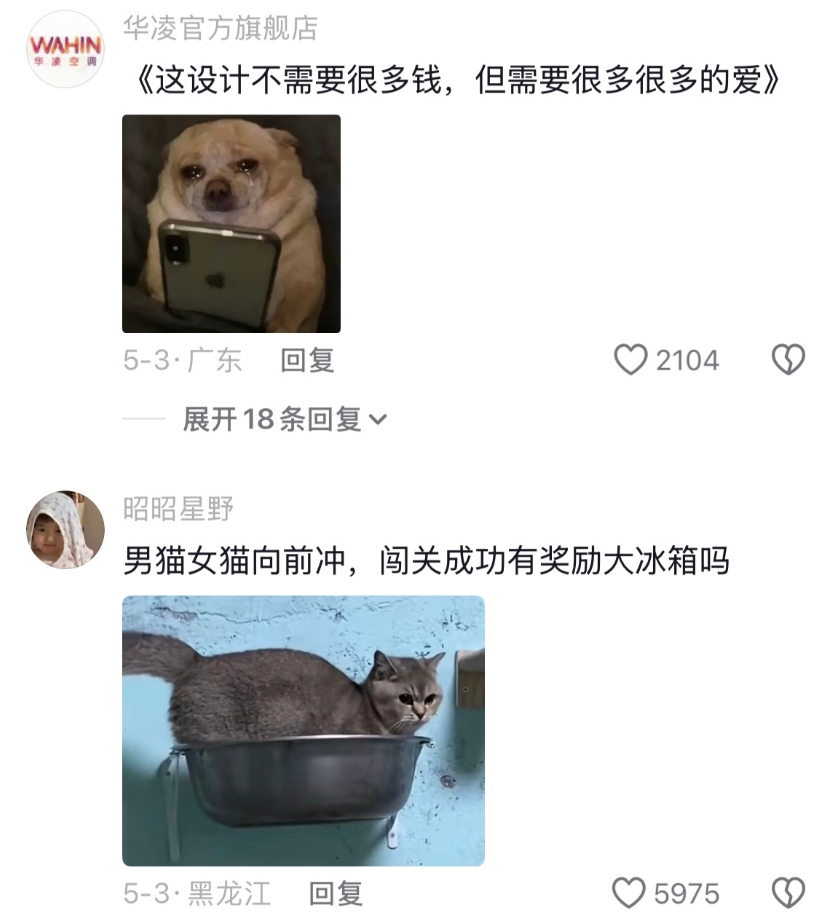 低配版的设施高配版的爱。动物奇遇记