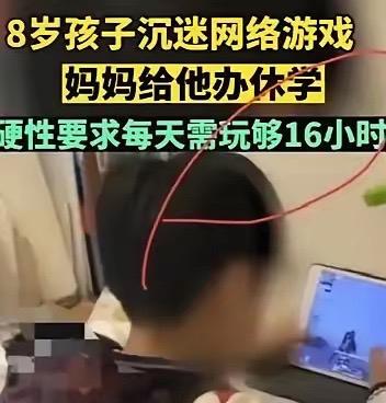 武汉一位妈妈，给8岁儿子办了休学，让他每天打16小时游戏，还请高手轮番“虐”他。