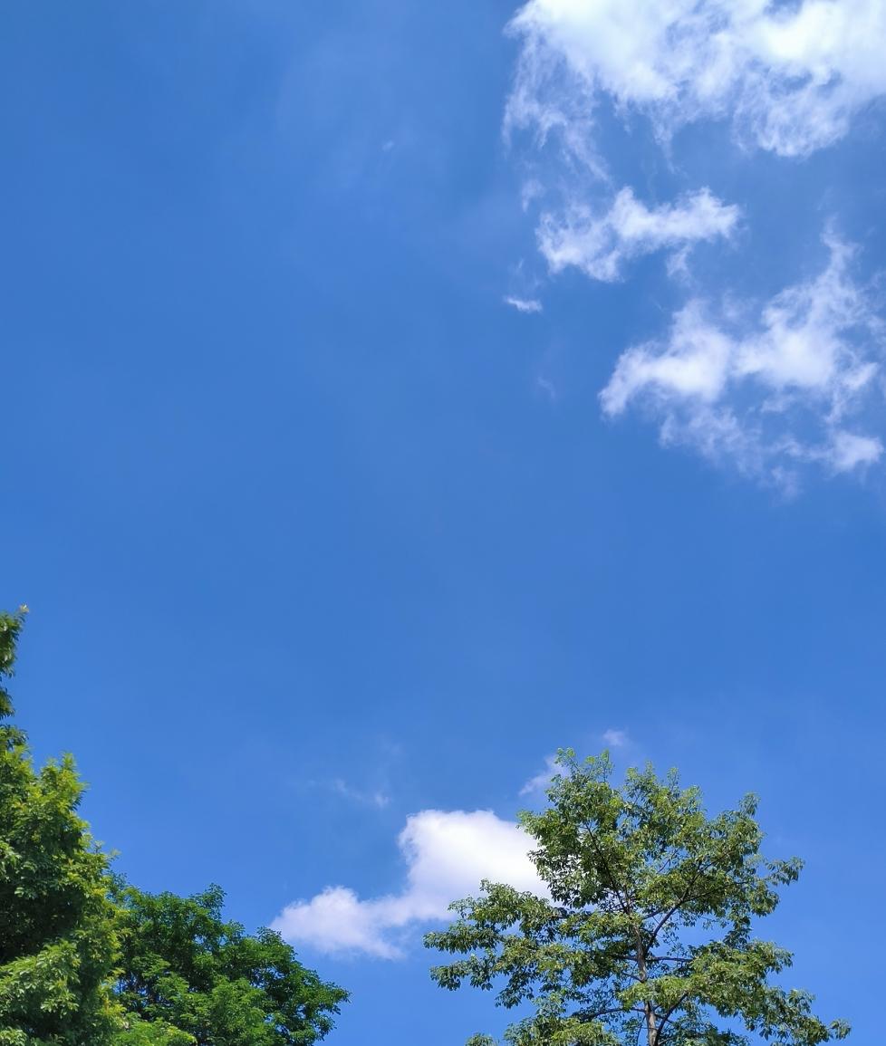 乙已木蛇舞影，靠诱吓取胜。
丙午两味齐出，此彼难解分。
丁末火烛通天，人神天来审