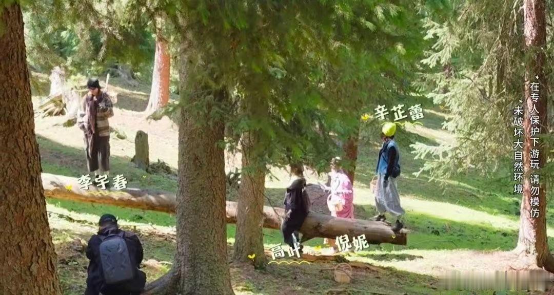 李宇春站跷跷板给辛芷蕾出片向野的我们 看到李宇春在跷跷板上努力保持平衡的样子，真