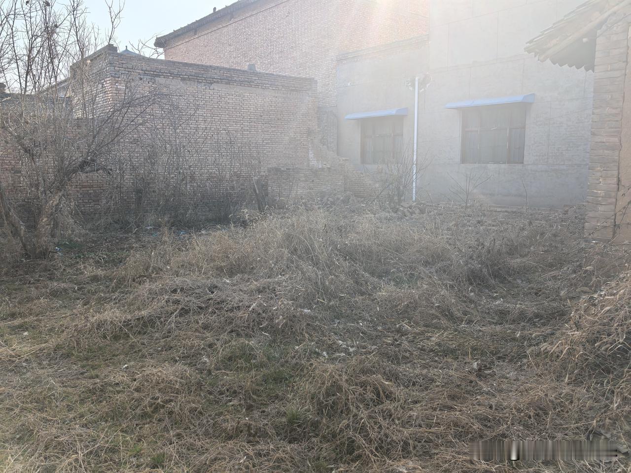 父母不在了，根就没了，老房子也就荒芜了。