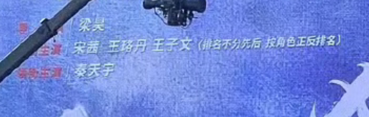 内娱番位排序方式再上新，宋茜 王珞丹 王子文按角色正反排名 狂花开机