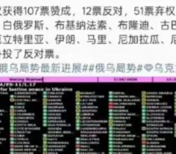 弱国无外交啊！选择支持乌克兰的国家只有 107 个，但是选择支持俄罗斯的国家，居