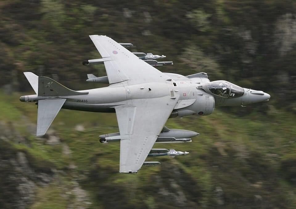 皇家空军鹞GR3和GR9 ​​​