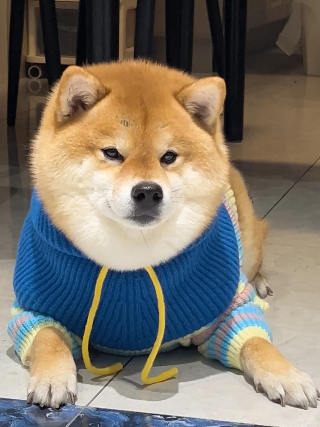第一我不是拽 第二我不叫喂