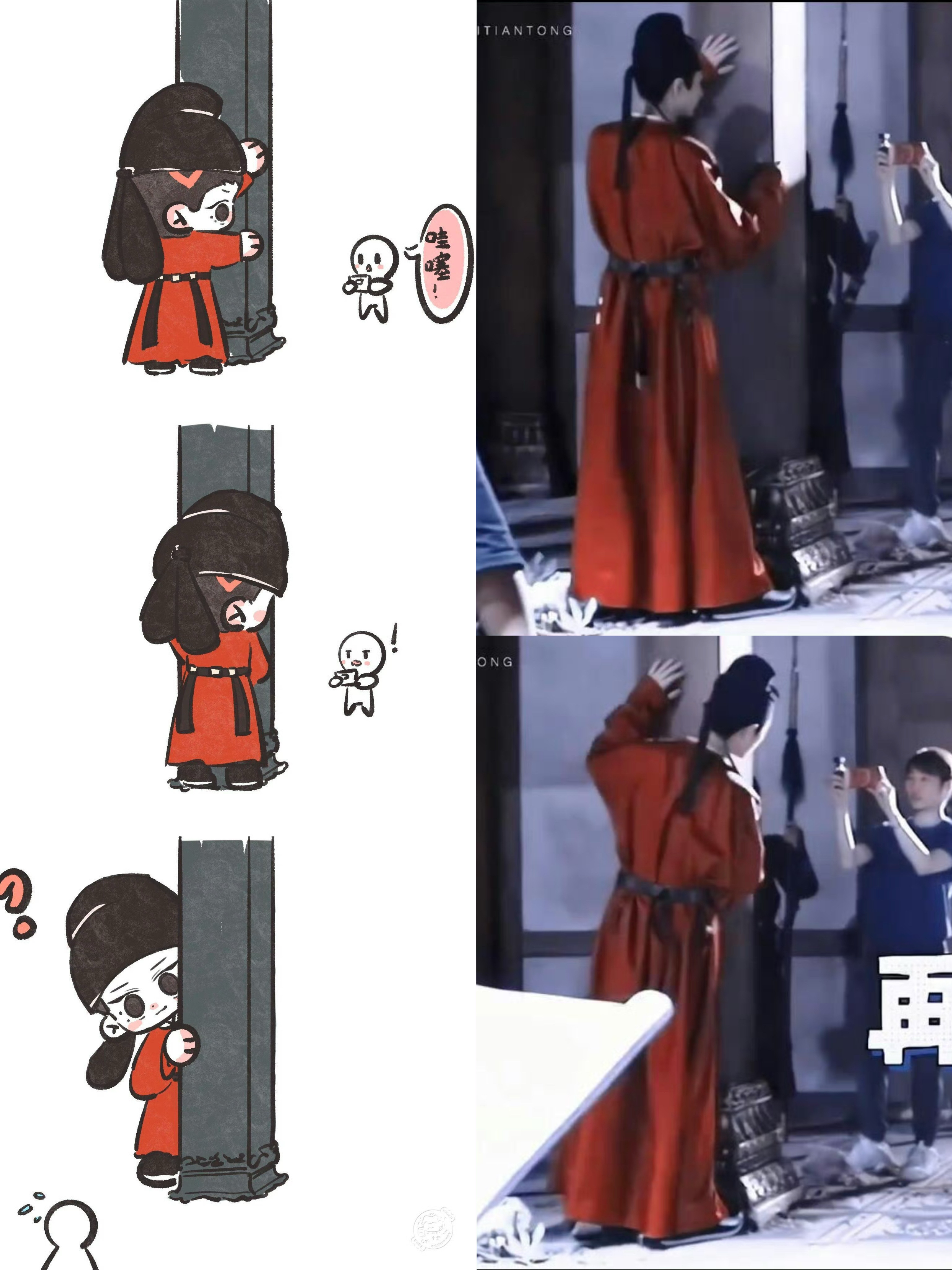 垂耳兔焱悄悄闪现