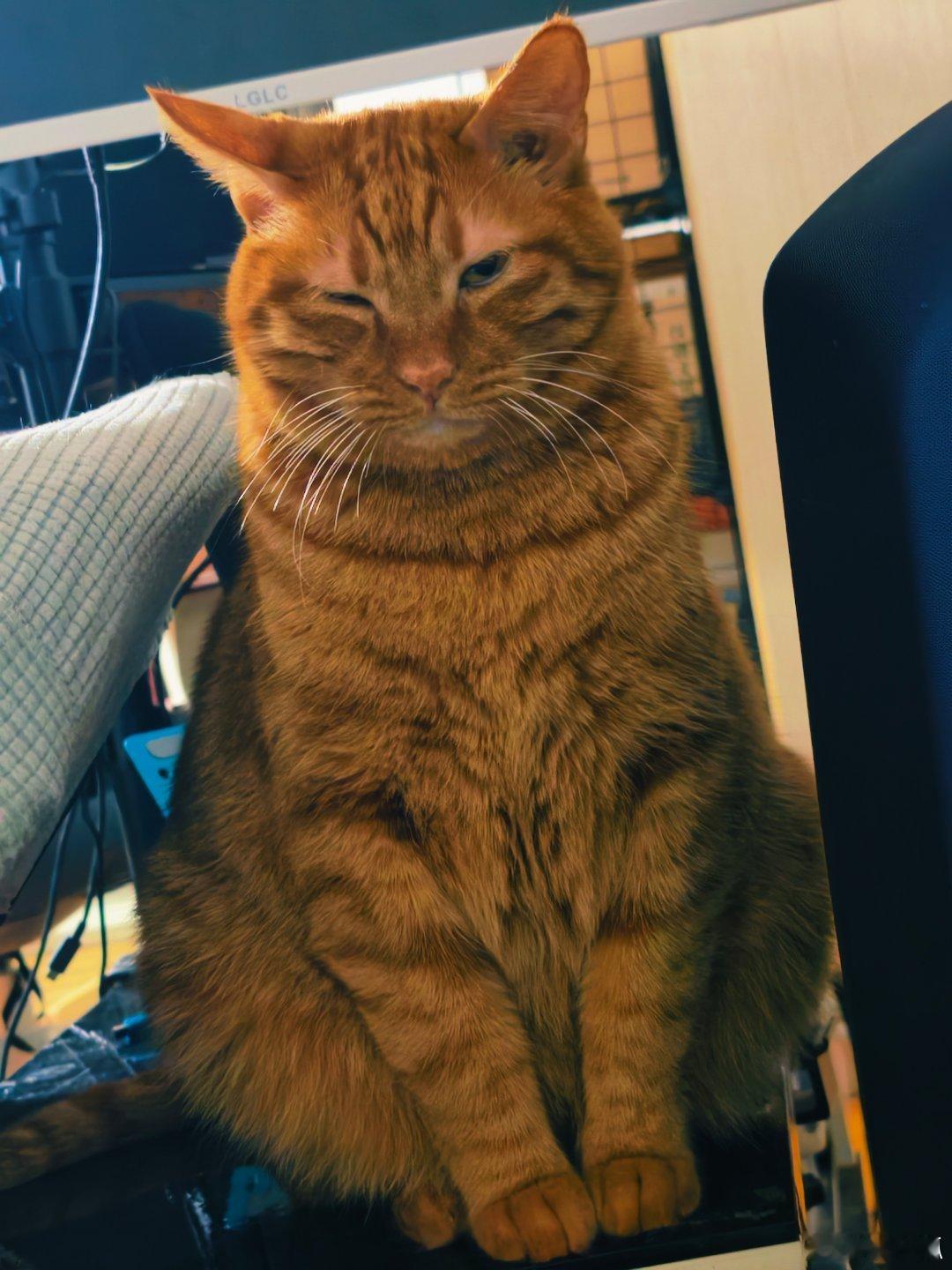 睥睨 