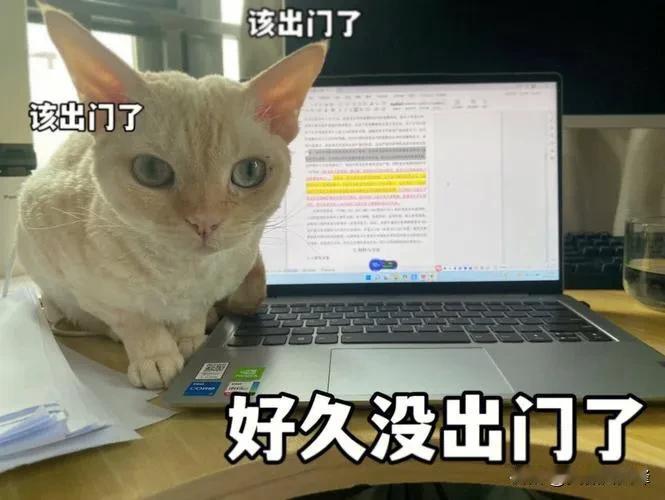 计划赶不上变化，原定的二日游成了一日游。
在儿子儿媳出游的时候我们就想等他们回来