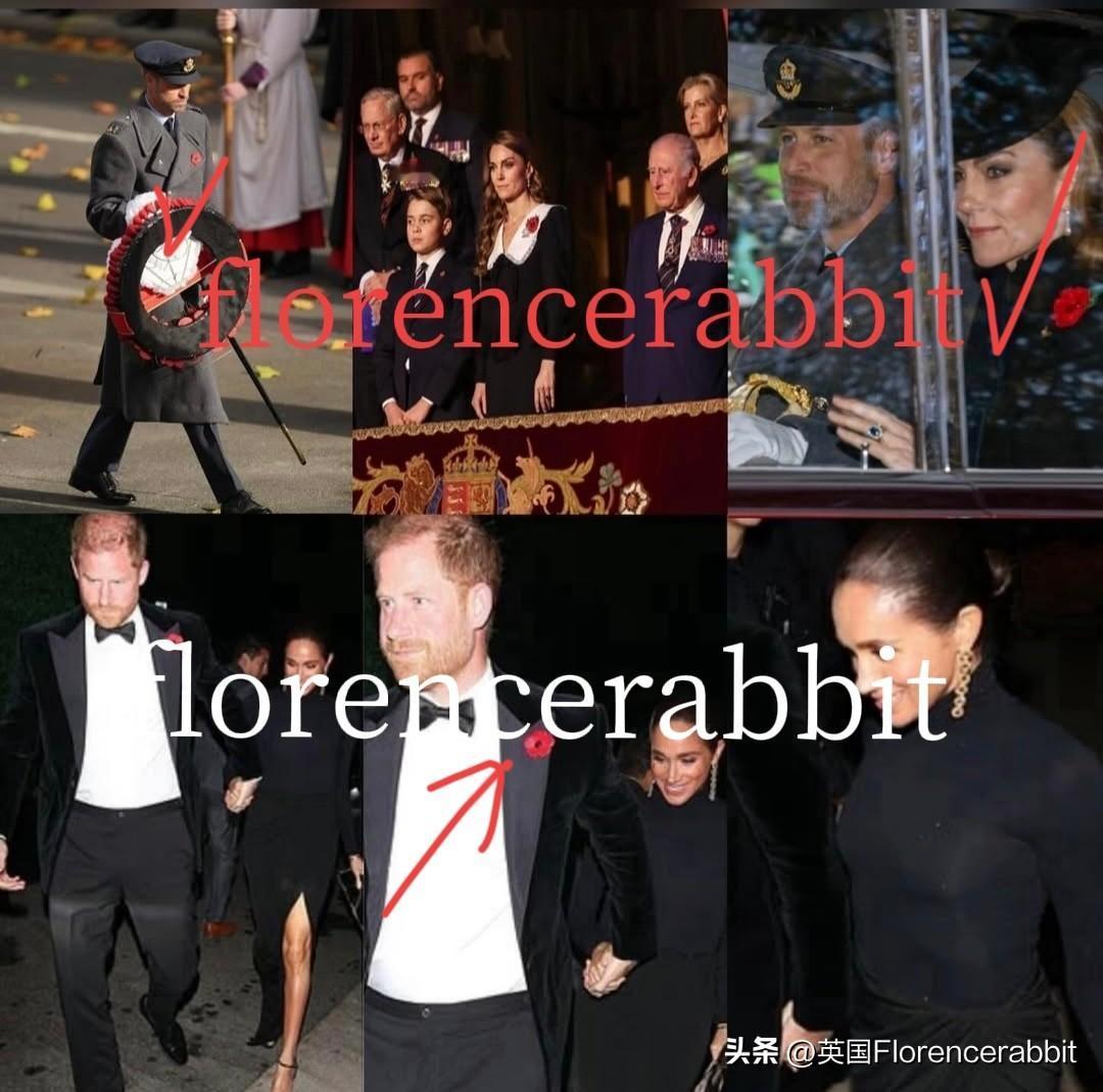 有什么比威廉王子和凯特更能做到“敬仰与尊重和体面”！威尔士亲王夫妇与国王一起带领