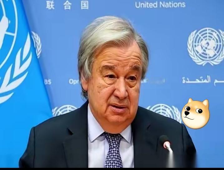 联合国大会，151个国家举手，说不行。
安理会，全票通过，说必须停。
结果呢？人