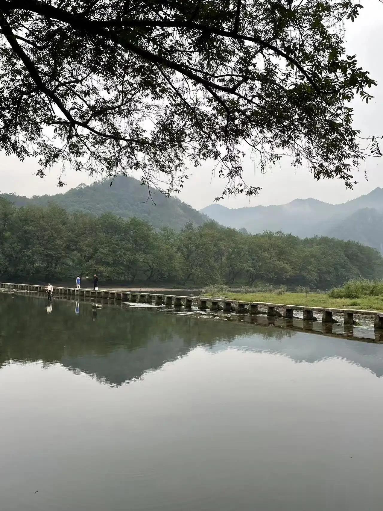 早上好！我们作为个体真的非常渺小，没有哪一个人仅靠自己能够完全独立地活下去。