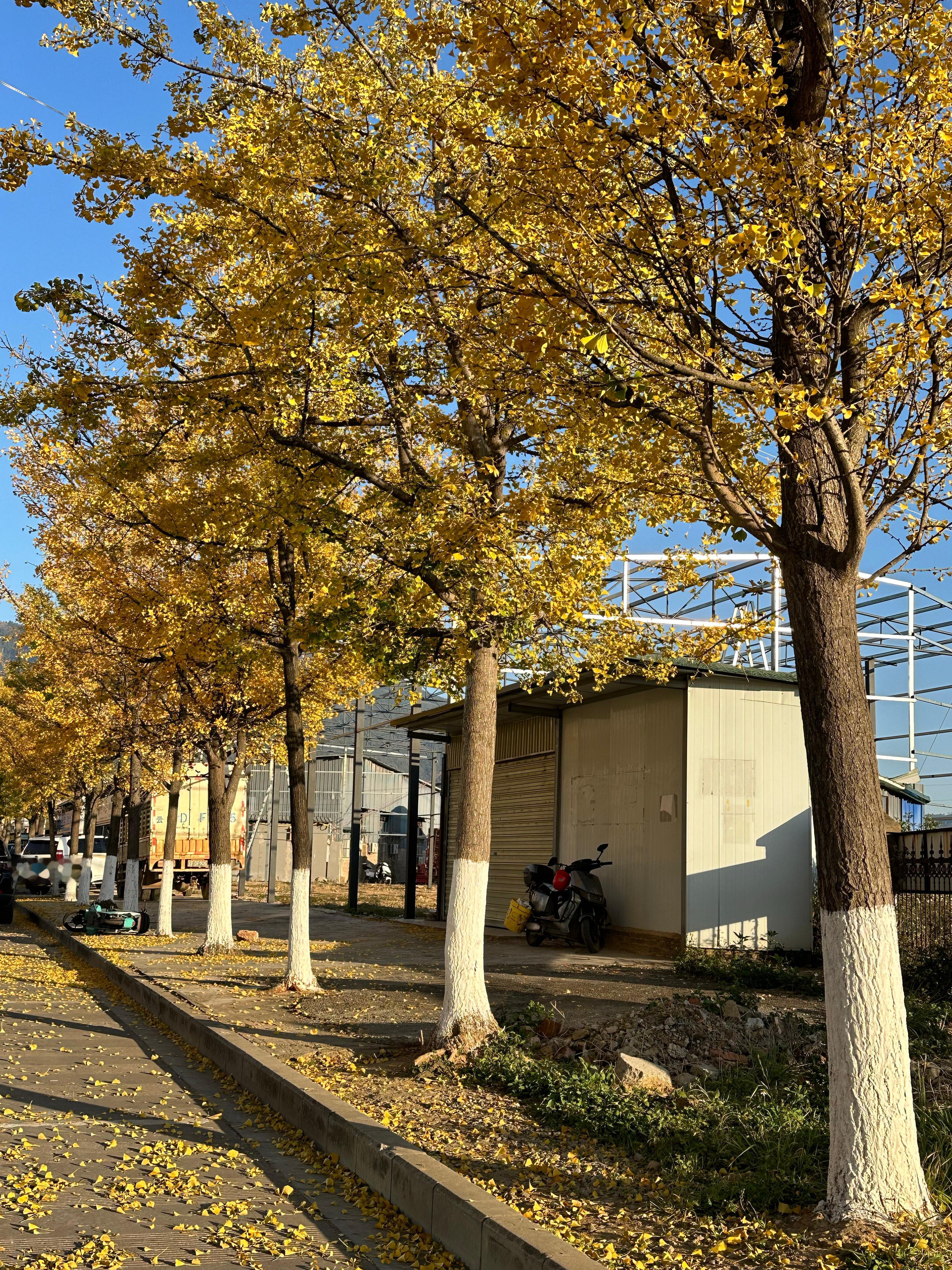 每天下班看到这个景色心情都好了 