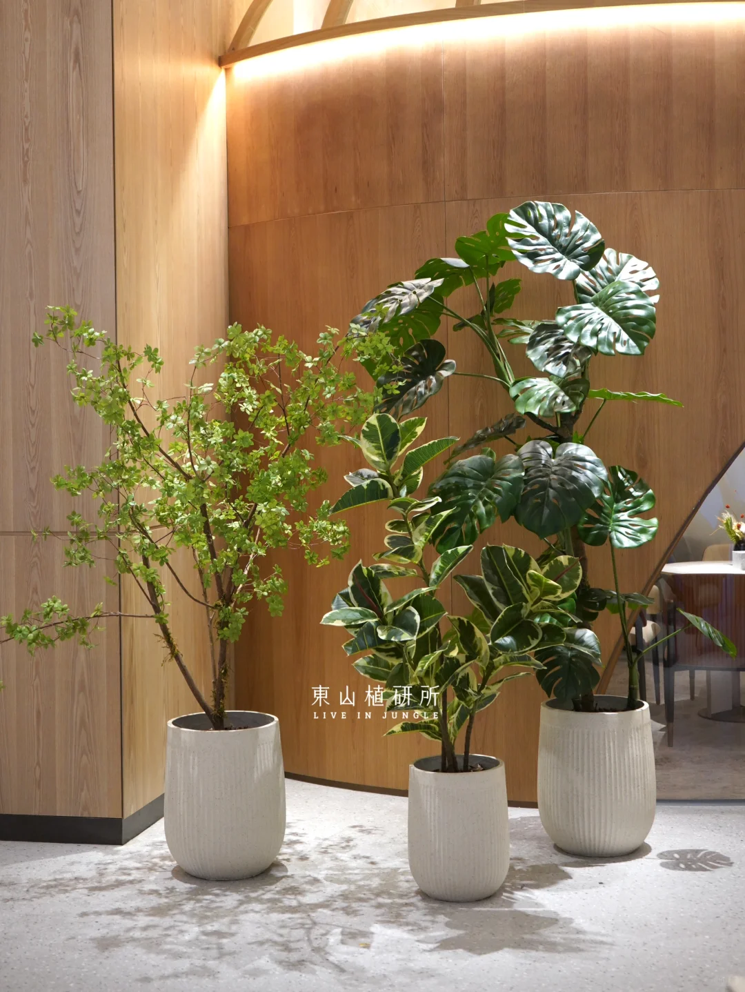 植物组盆| 商业空间仿真绿植 多种搭配组合