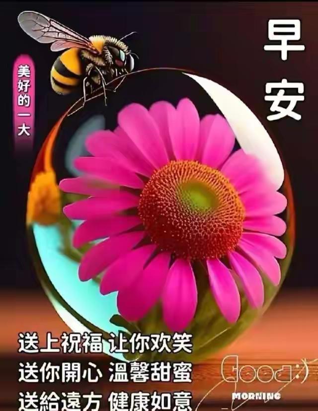 南浦诗联微信群交流录34

作者：葛淼新（应制二题）

念奴娇·雅集端阳

南湖